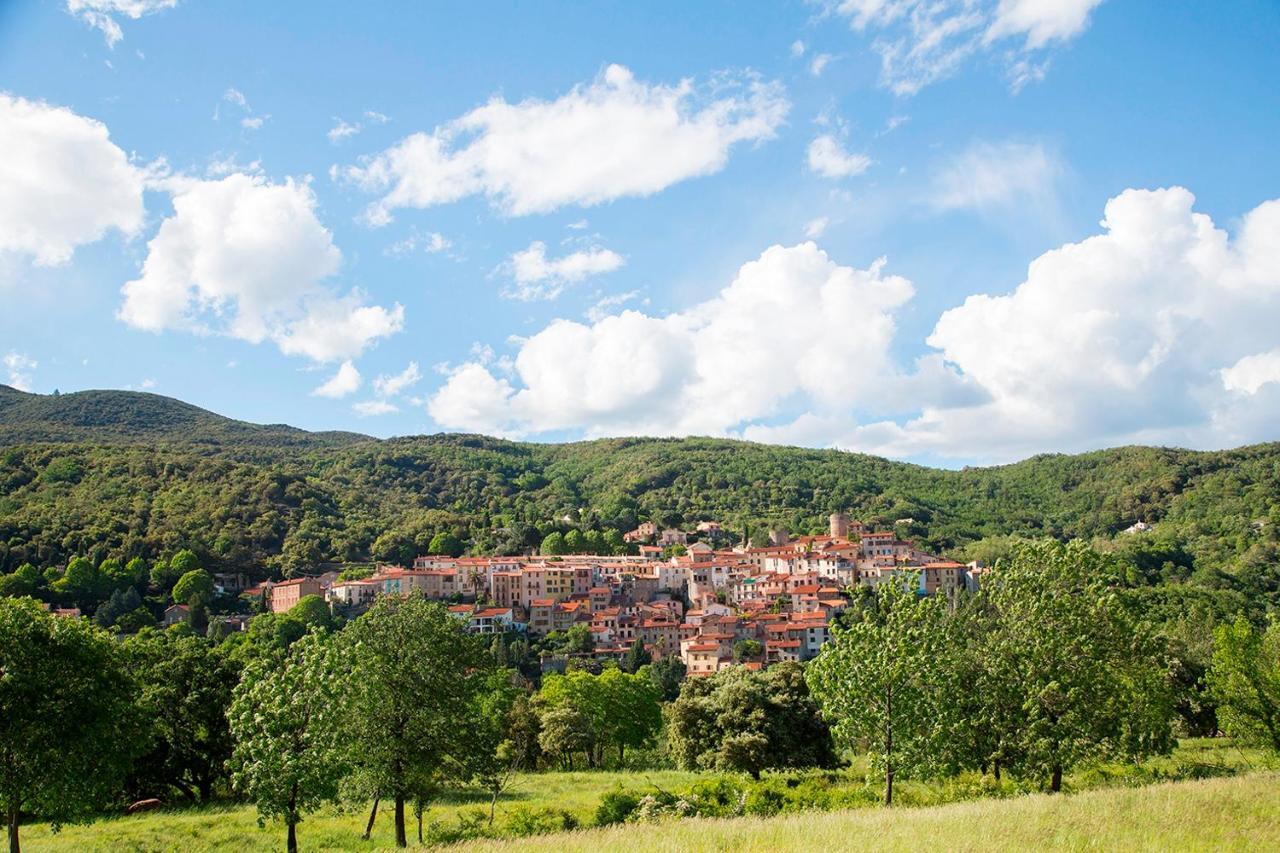 Le Roussillon Hotel Amélie-les-Bains-Palalda Eksteriør billede